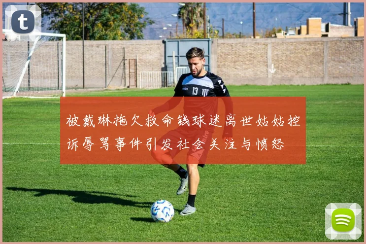 被戴琳拖欠救命钱球迷离世姑姑控诉辱骂事件引发社会关注与愤怒