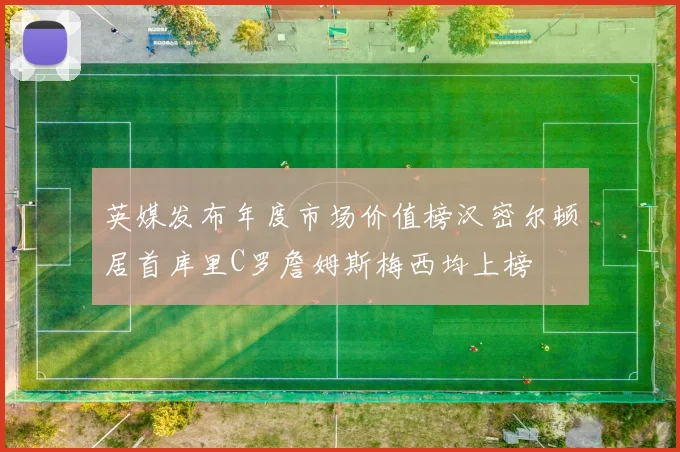 英媒发布年度市场价值榜汉密尔顿居首库里C罗詹姆斯梅西均上榜