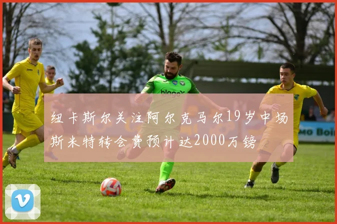 纽卡斯尔关注阿尔克马尔19岁中场斯米特转会费预计达2000万镑