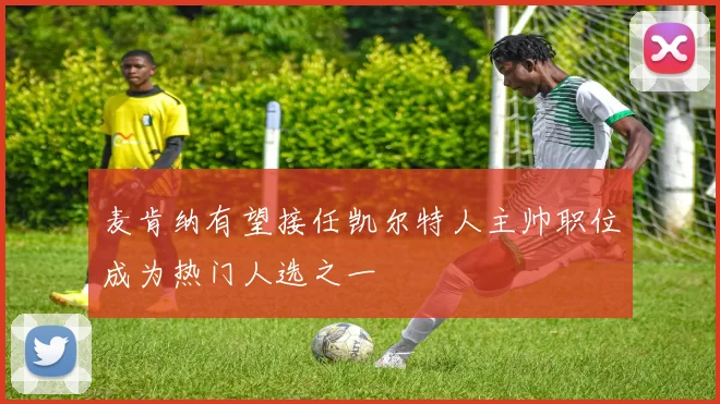 麦肯纳有望接任凯尔特人主帅职位成为热门人选之一