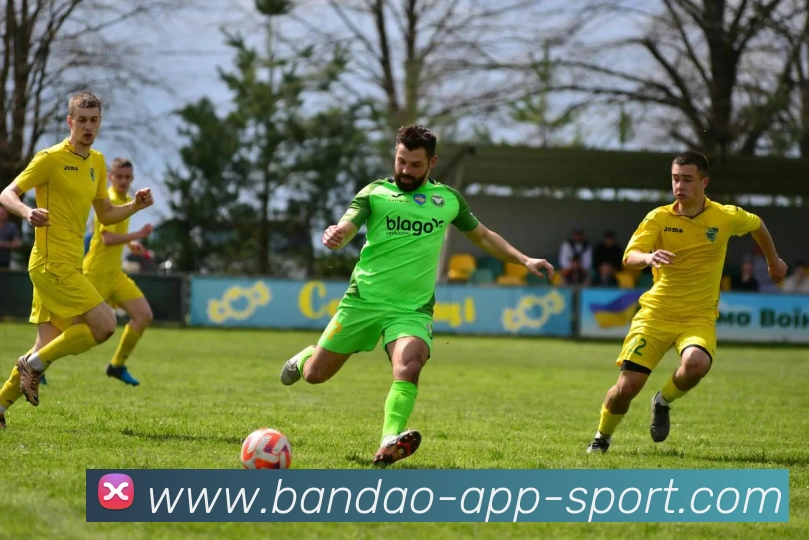 半岛体育平台生态图